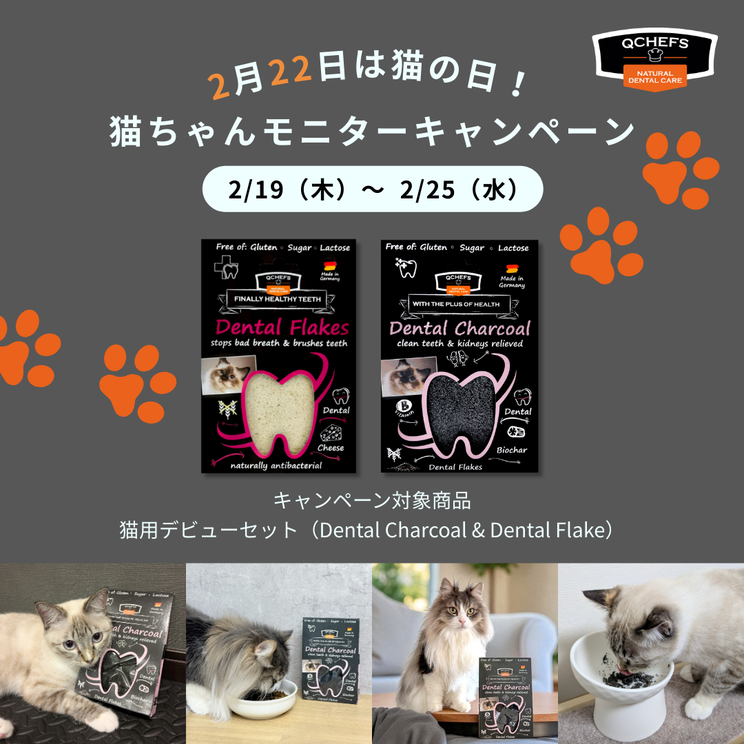 【2月22日は猫の日🐈】おいしく噛んで、お口の健康維持を。QCHEFS、猫の日にちなんだ〈22名様〉モニターキャンペーン開催