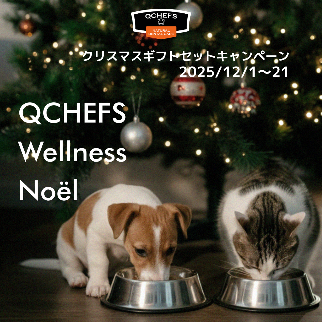 QCHEFS Wellness Noël ~クリスマスギフトセットキャンペーン~