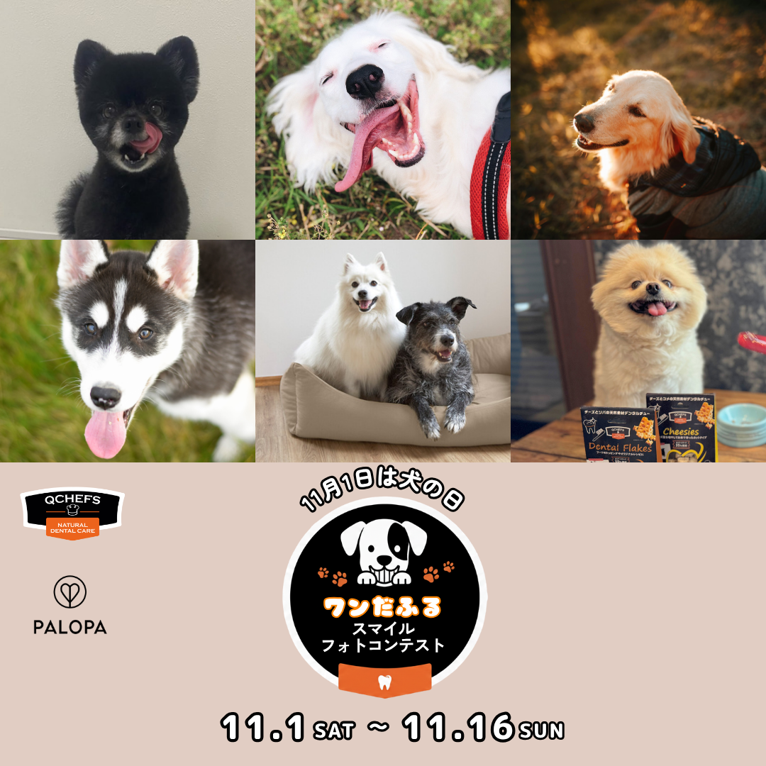ドイツ発の人気ブランドがタッグ!11月1日「犬の日」から、QCHEFS×PALOPA合同「健やかな歯から、ワンだふるスマイルフォトコンテスト」スタートだワン!