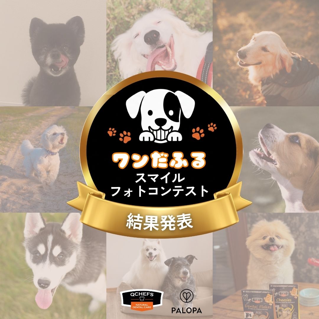 【QCHEFS × PALOPA】犬の日「健やかな歯から、ワンだふるスマイルフォトコンテスト」結果発表