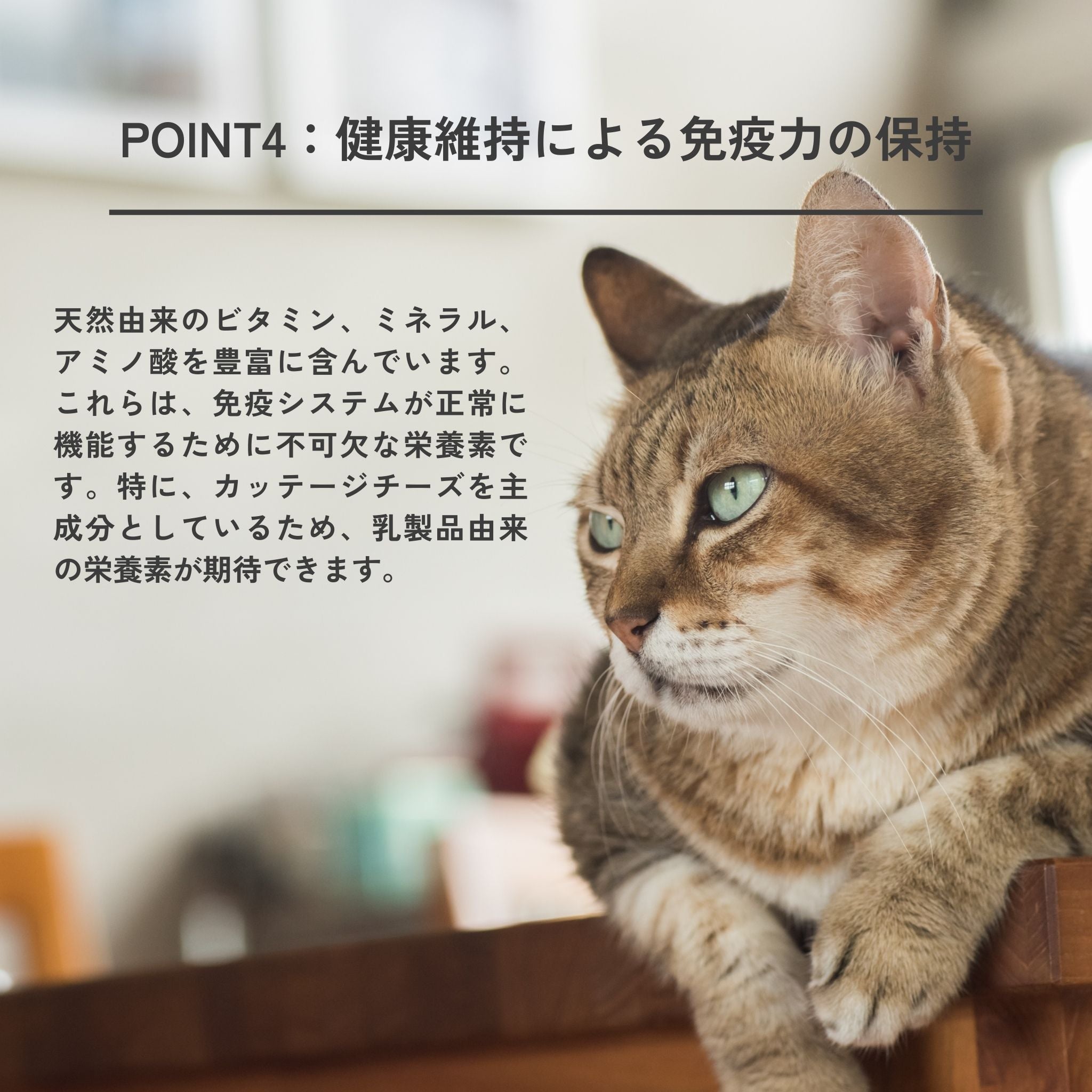 【定期便で送料無料】2袋セット Dental Flakes for cats(猫用デンタルフレーク)