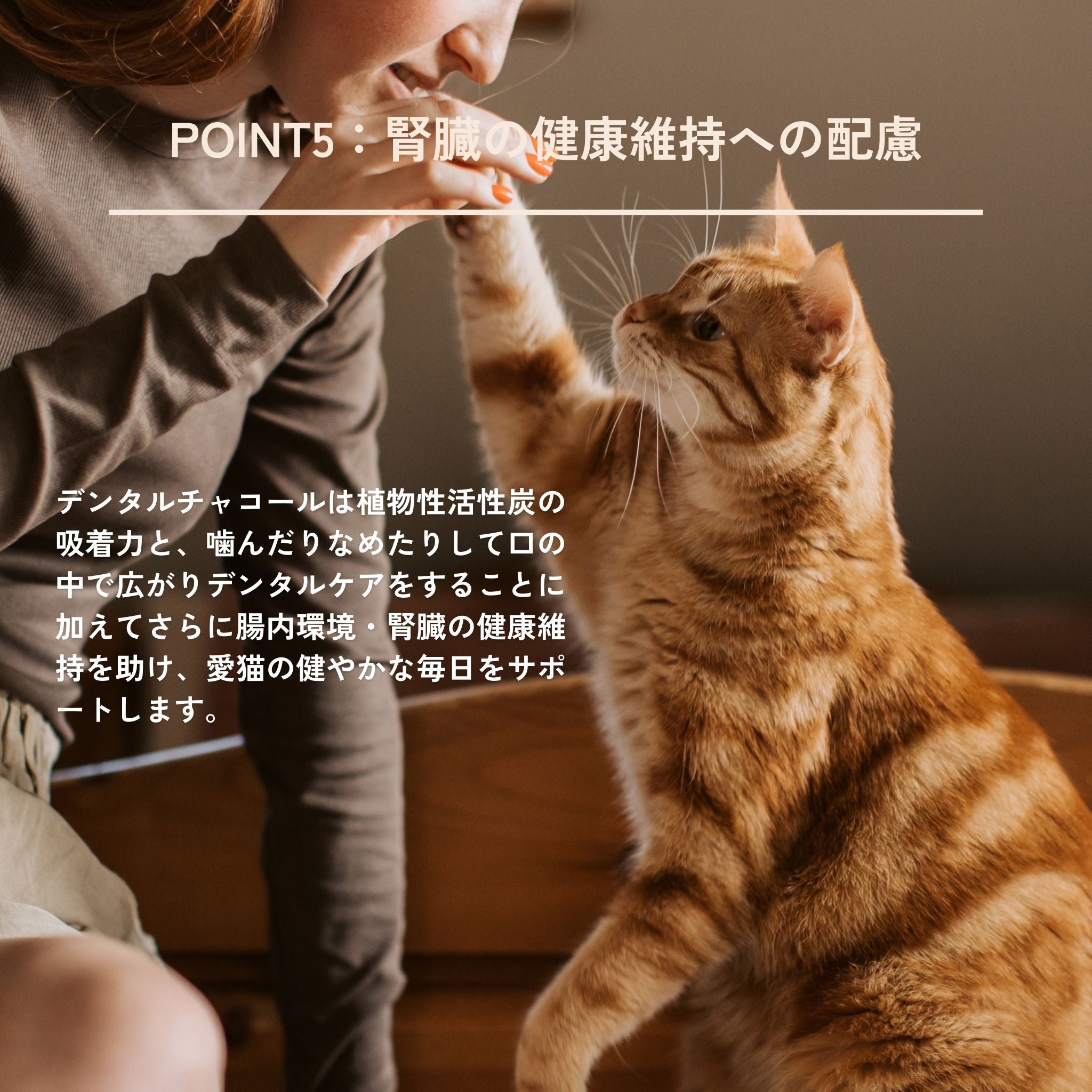 【定期便で350円OFF】3袋セット Dental Charcoal for cats(猫用デンタルチャコール)