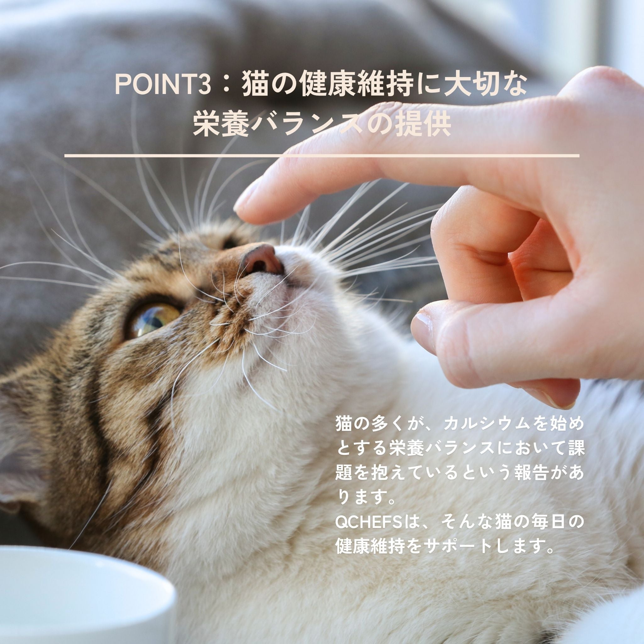 Dental Charcoal for cats(猫用デンタルチャコール) | QCHEFS(キューシェフス)