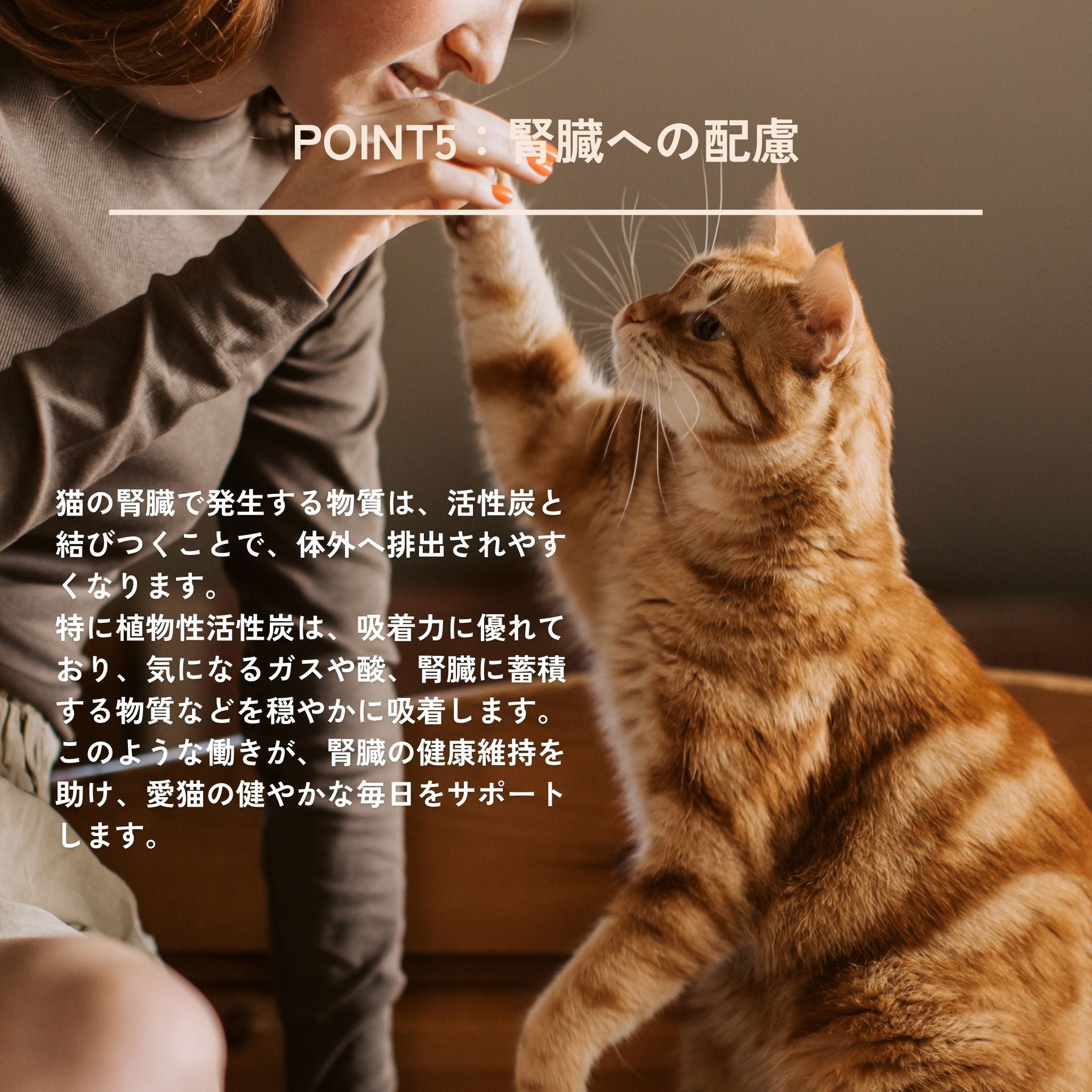 Dental Charcoal for cats(猫用デンタルチャコール) | QCHEFS(キューシェフス)