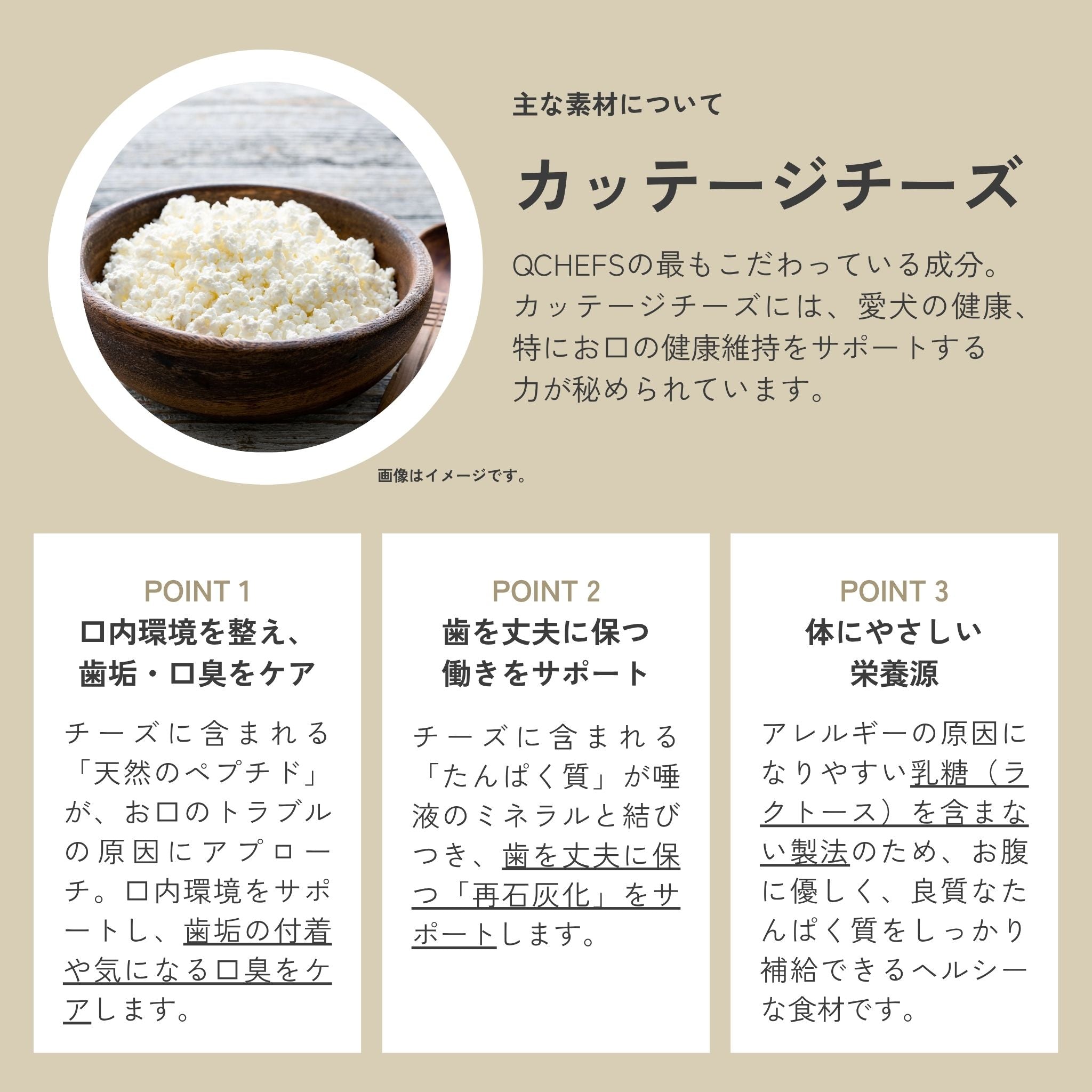 犬用デビューセット(Dental Charcoal)