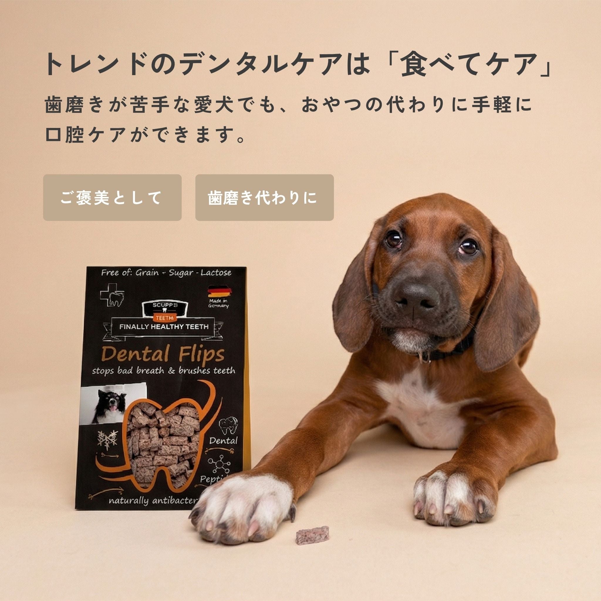 【New】Dental Flips for Dogs (犬用デンタルフリップ) | QCHEFS(キューシェフス)
