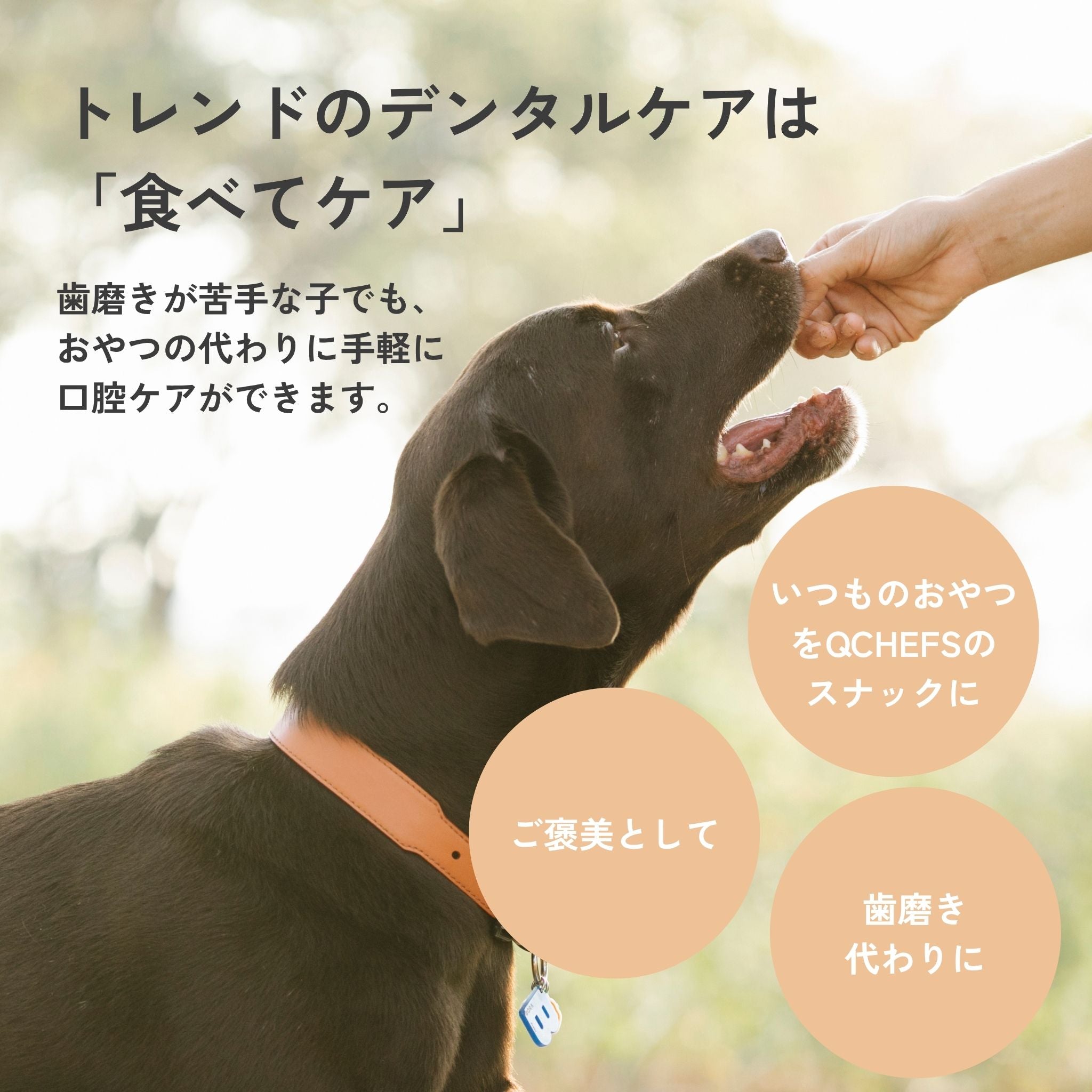 Mminis for dogs (ミニズ)/犬用デンタルスナック | QCHEFS(キューシェフス)