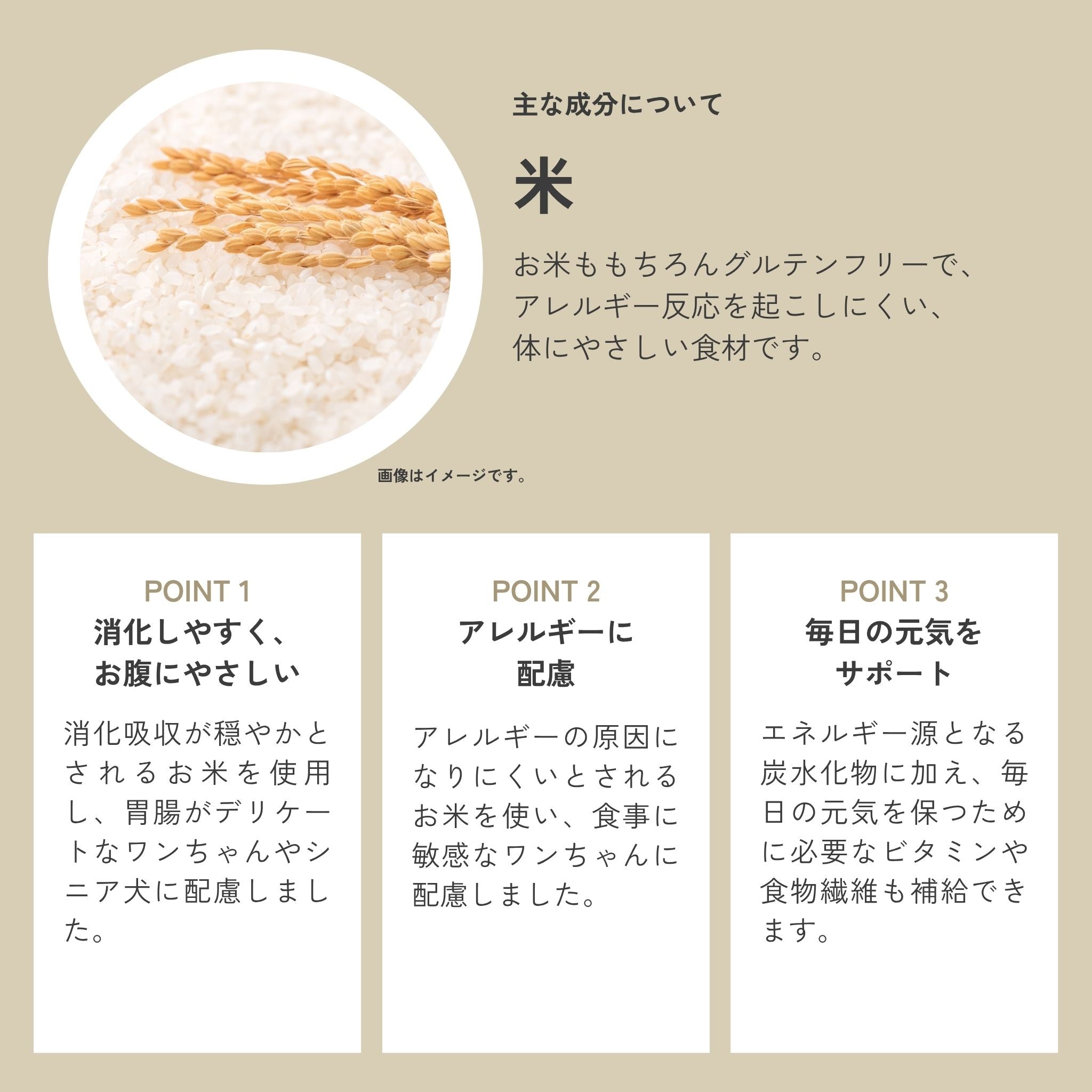 QCHEFSが米を配合する理由は消化に安くお腹に優しいだけでなく、アレルギーに配慮した体に優しい食材であること。毎日の活動をサポートする炭水化物やビタミン、食物繊維も補給できること。