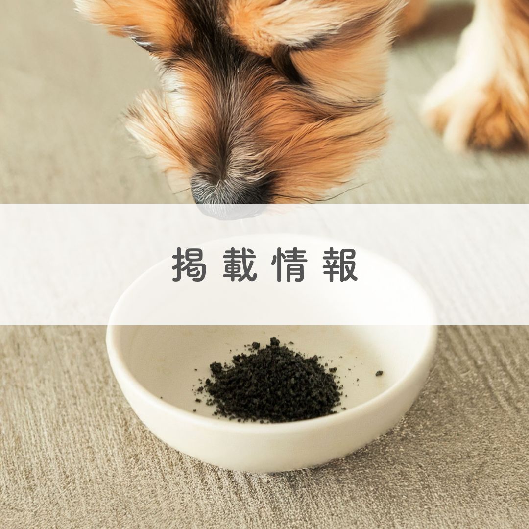 ペットメディア『犬暮らし』にてQCHEFSの「犬用デンタルチャコール」をご紹介いただきました！
