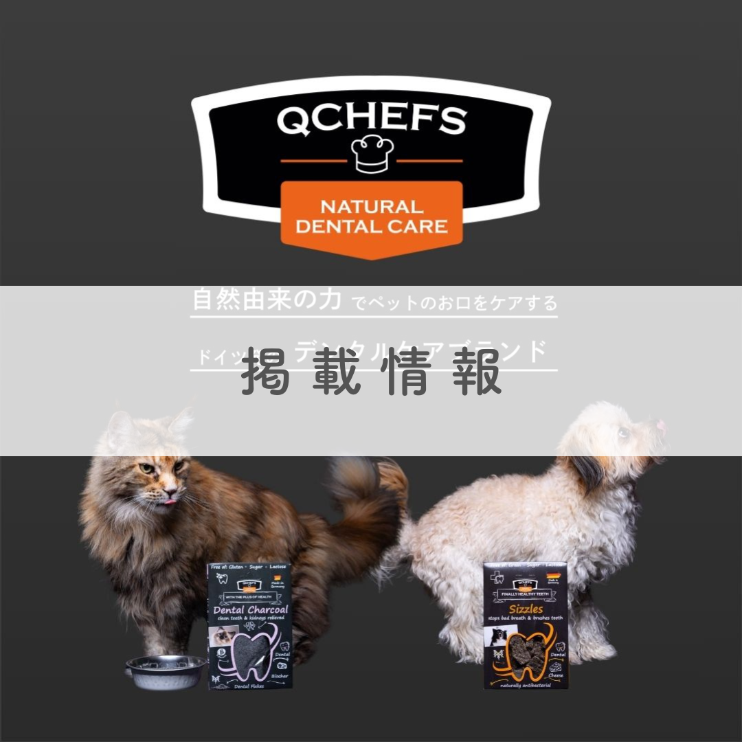 ペットメディア『Frien Doggy』にてQCHEFSをご紹介いただきました！