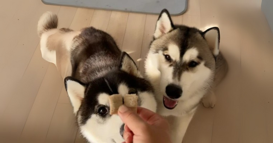 第4回：100%天然由来＆無添加のやさしさ。迷ったときの安心に【はじめてのQCHEFS】