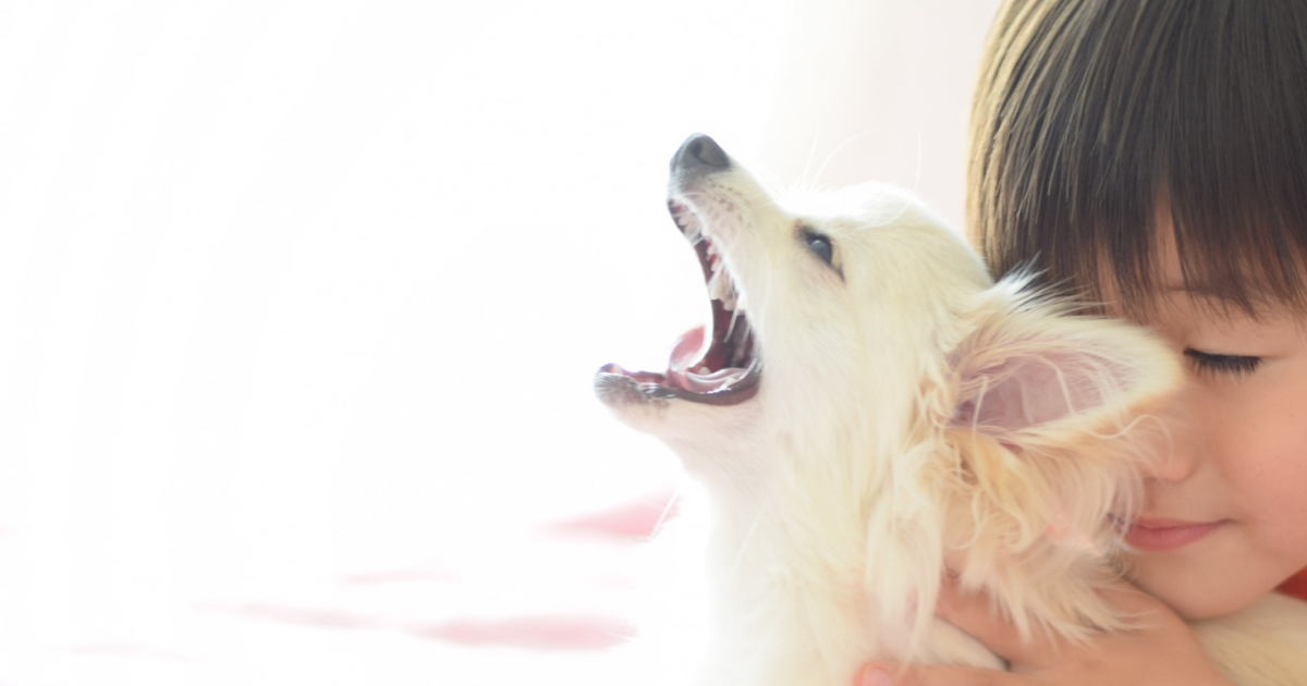 犬の口の臭いをかぐ飼い主