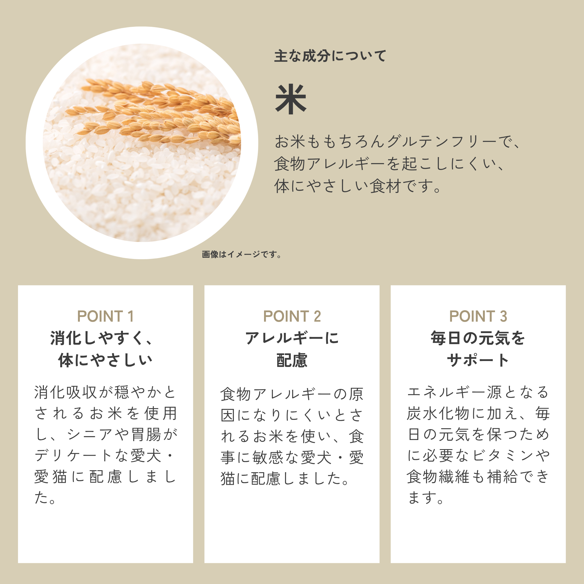 Dental Charcoal for cats（猫用デンタルチャコール） | QCHEFS（キューシェフス）