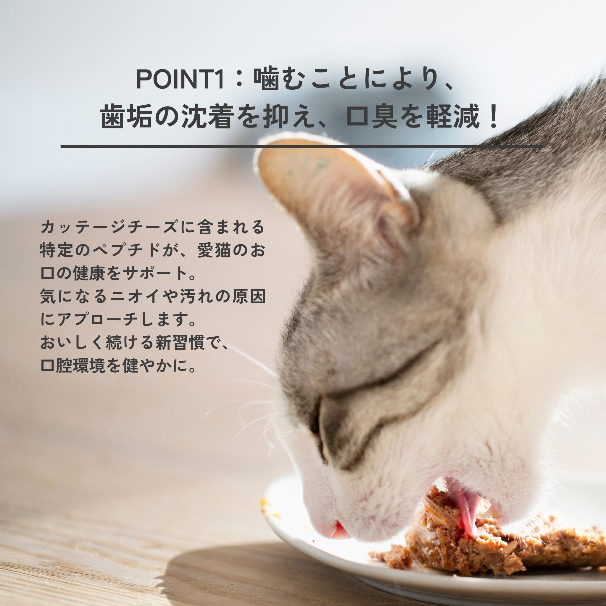 Dental Flakes for cats 猫用デンタルフレーク-チーズ素材のフード