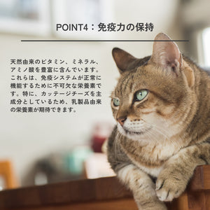 Dental Flakes for cats（猫用デンタルフレーク） | QCHEFS（キューシェフス）