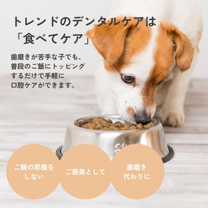 キューシェフスフレーク犬用特徴