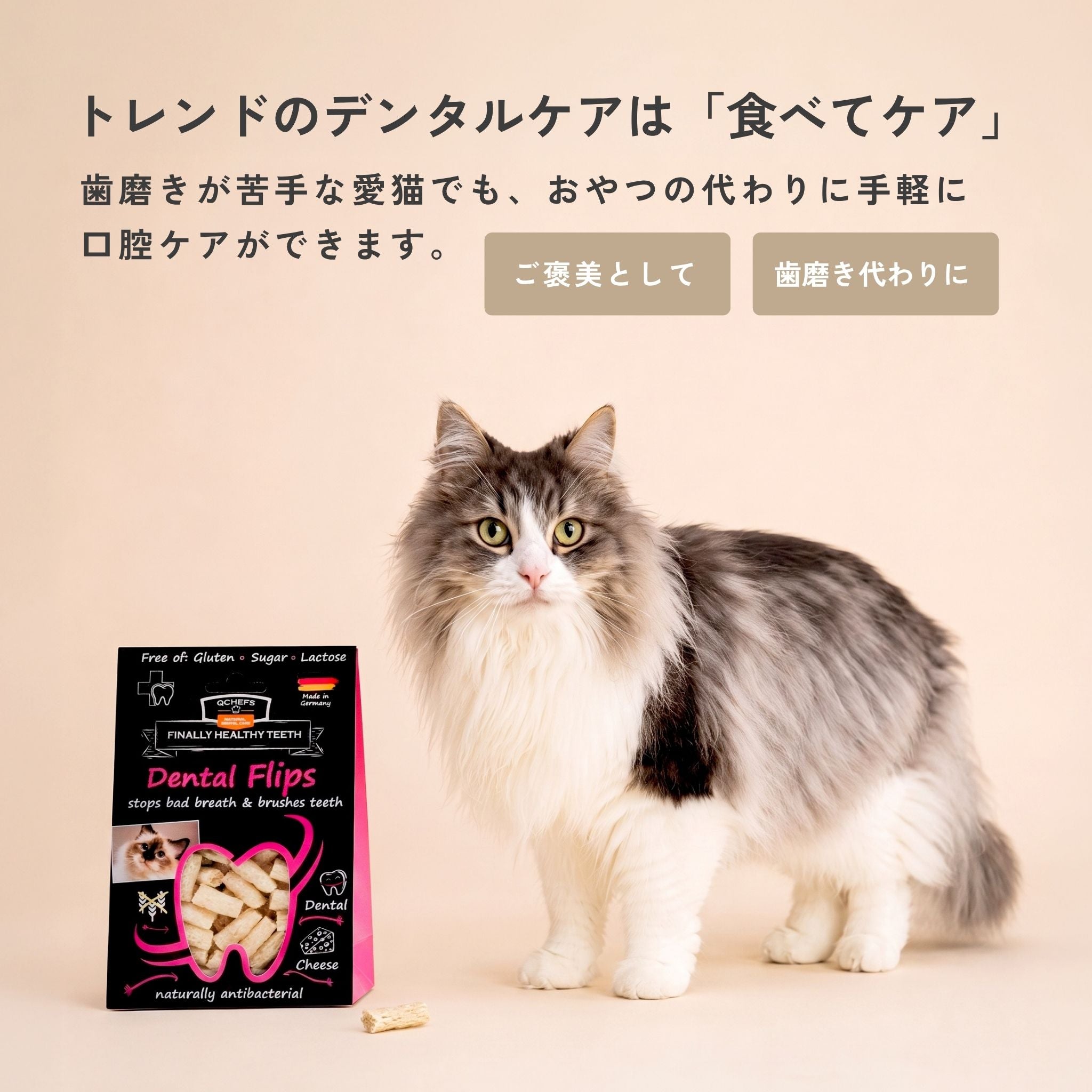 【発売開始前】Dental Flips for Cats （猫用デンタルフリップ） | QCHEFS（キューシェフス）