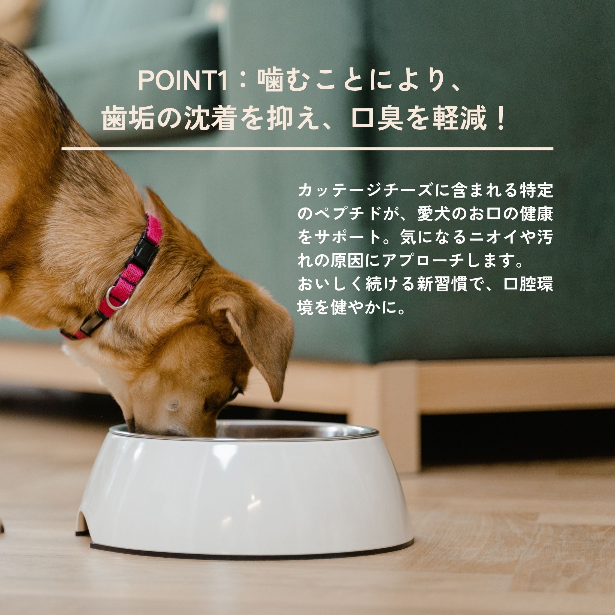 Mminis for dogs 小型犬用デンタルフレーク｜QCHEFS Japan（キュー